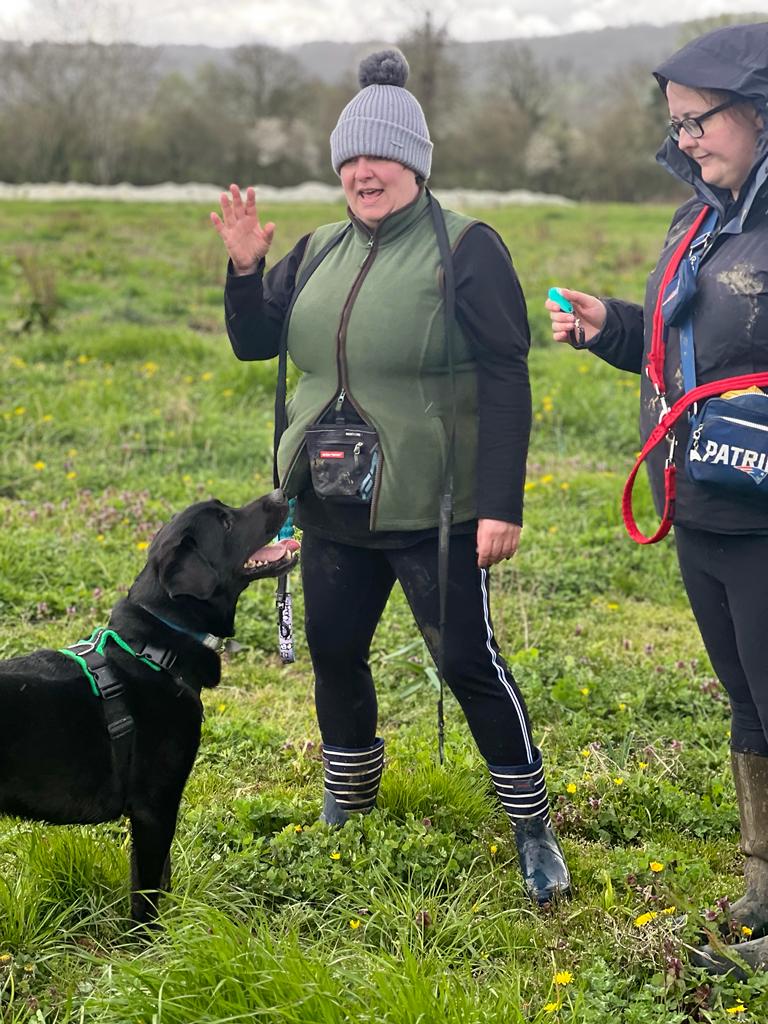 Dog Training in field