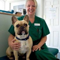 Dog with Vet