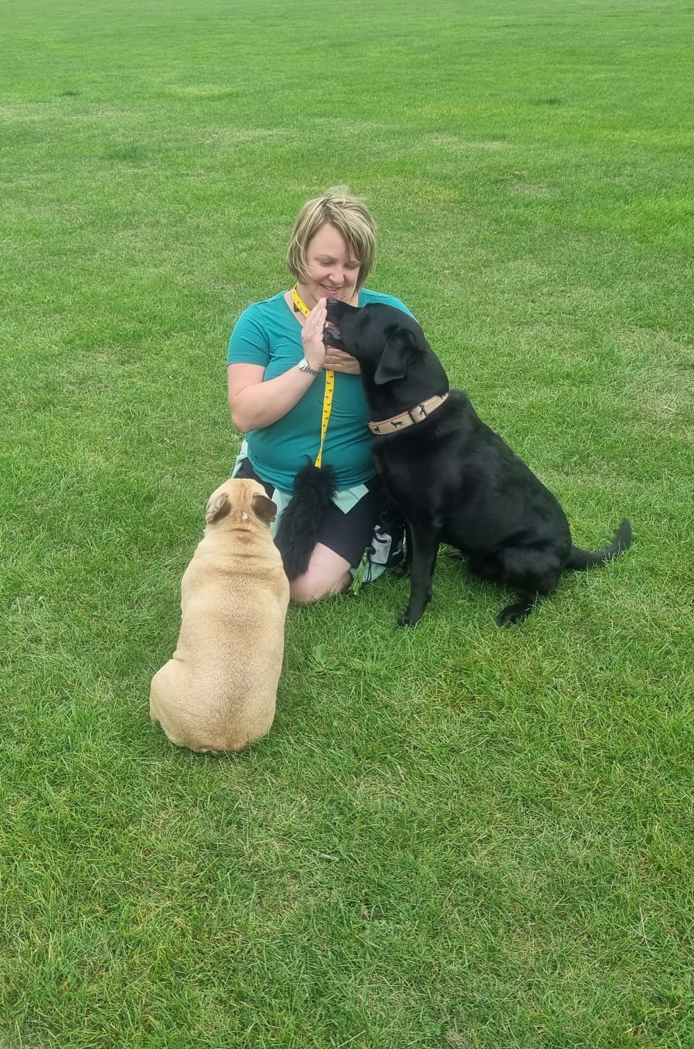 Dog trainer Gloucester